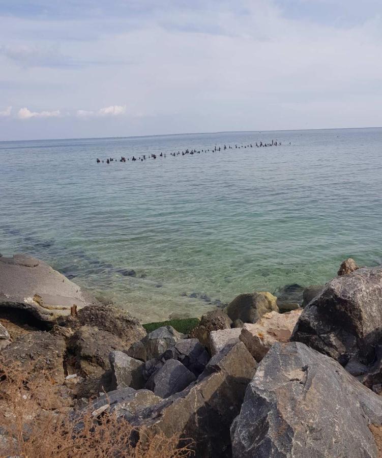 Vip Apartment In The Very Center Of Odessa With Sea View Exteriör bild